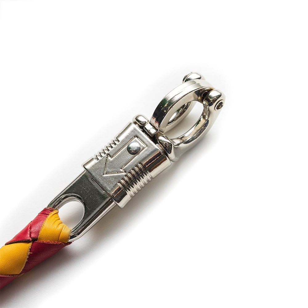 Get Back Whips whips First Manufacturing Company