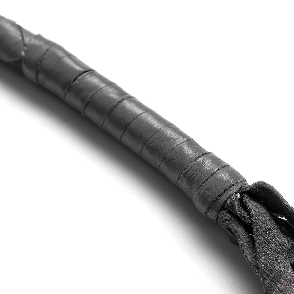 Get Back Whips whips First Manufacturing Company