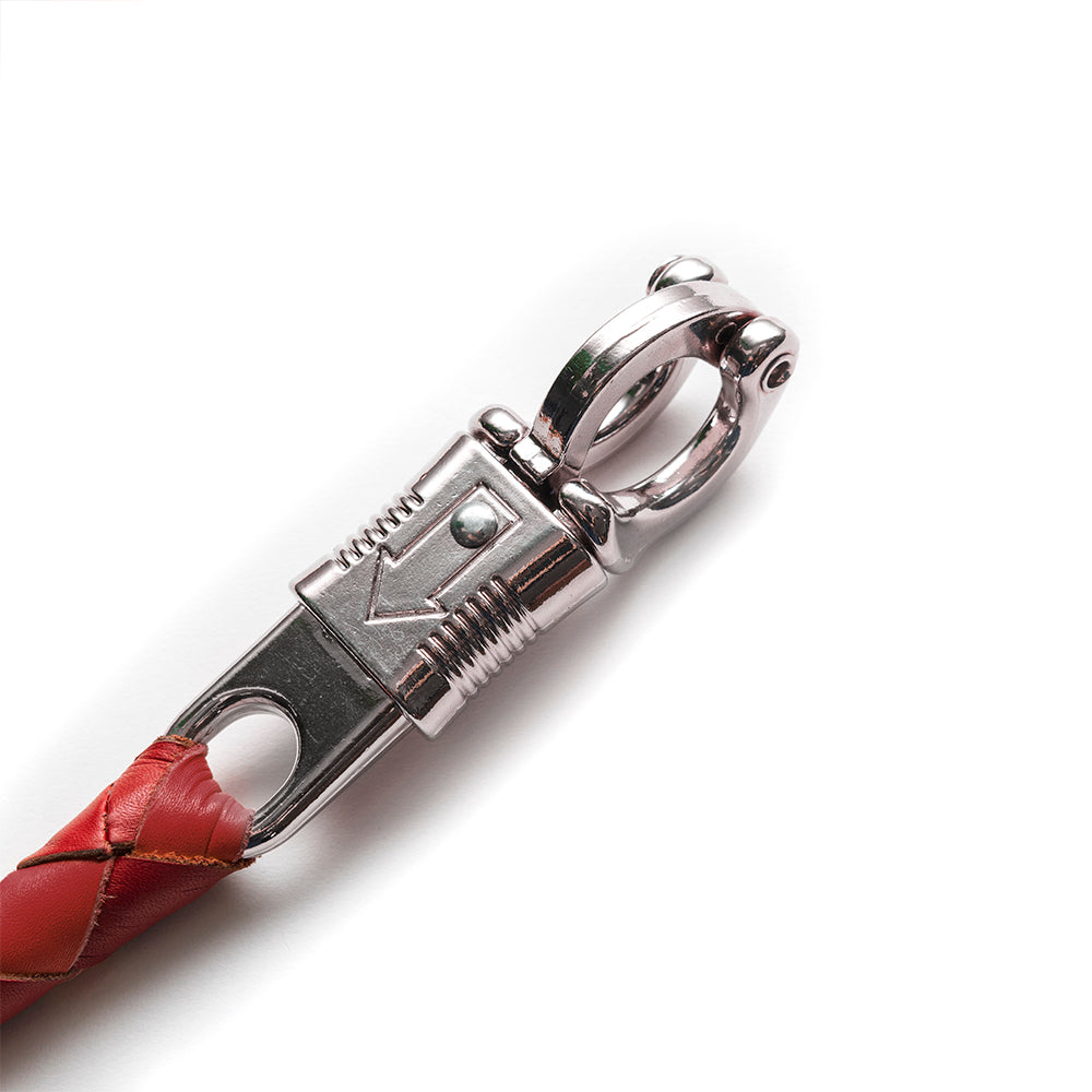 Get Back Whips whips First Manufacturing Company