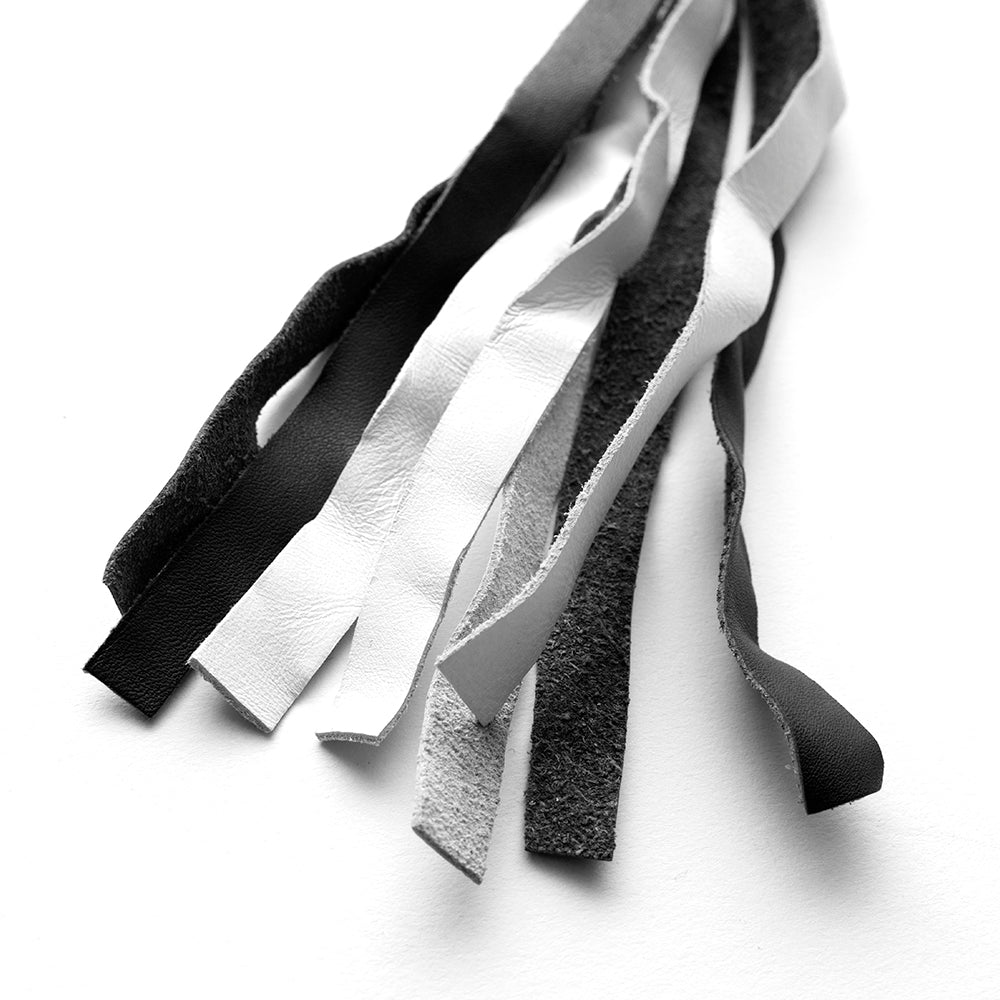 Get Back Whips whips First Manufacturing Company