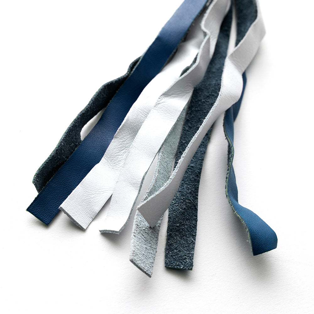 Get Back Whips whips First Manufacturing Company