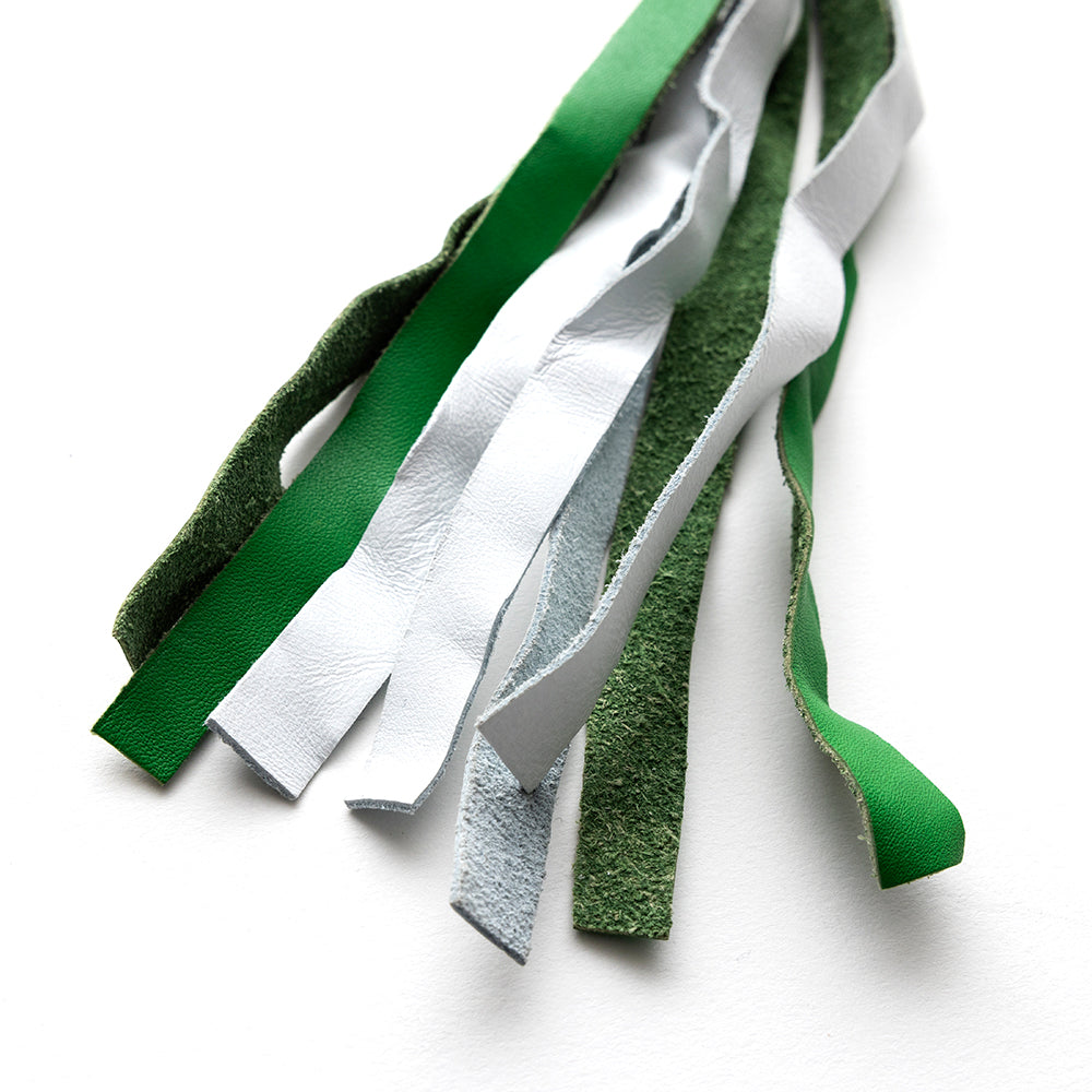 Get Back Whips whips First Manufacturing Company