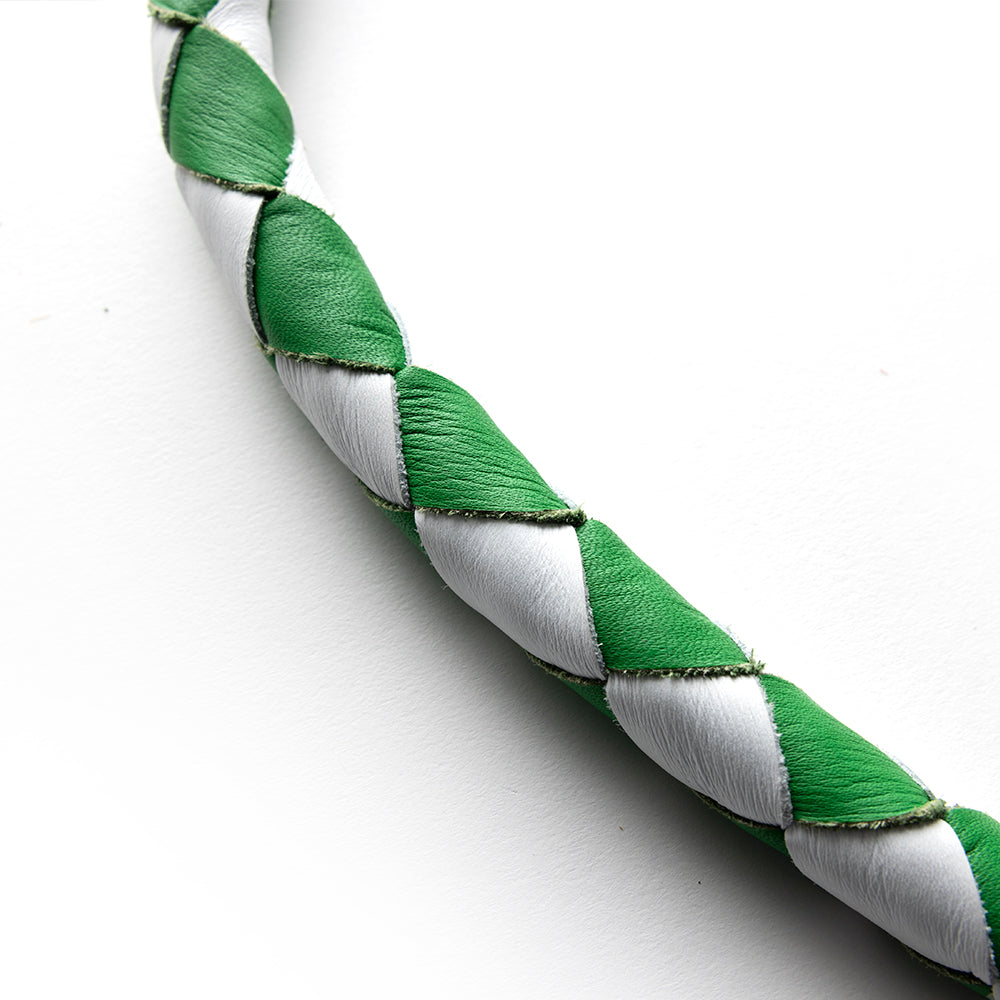 Get Back Whips whips First Manufacturing Company