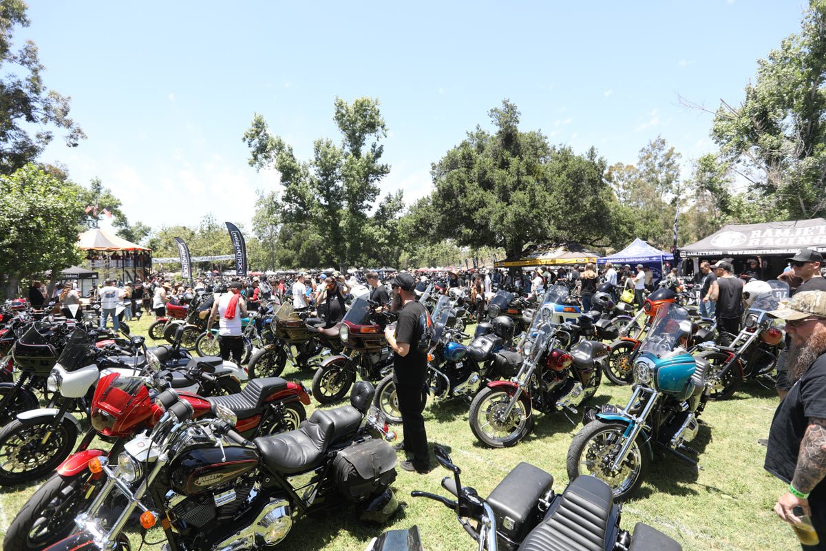A Look Inside Born Free 14