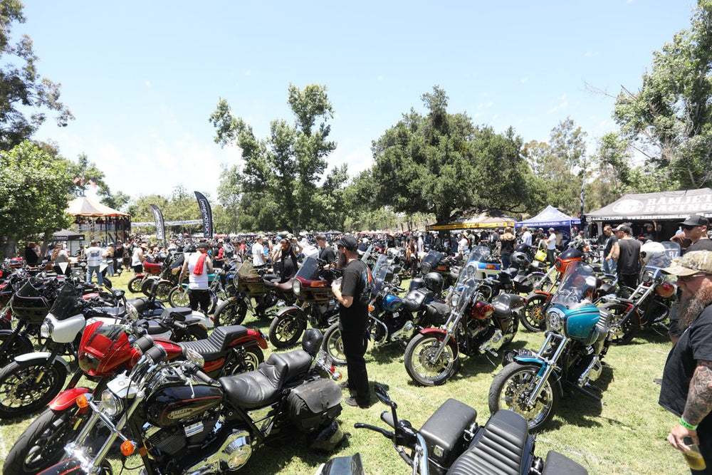 A Look Inside Born Free 14