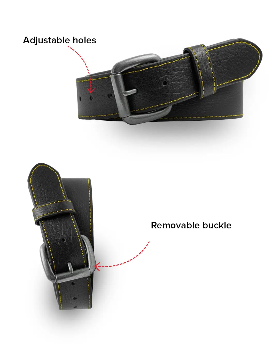Money Belt